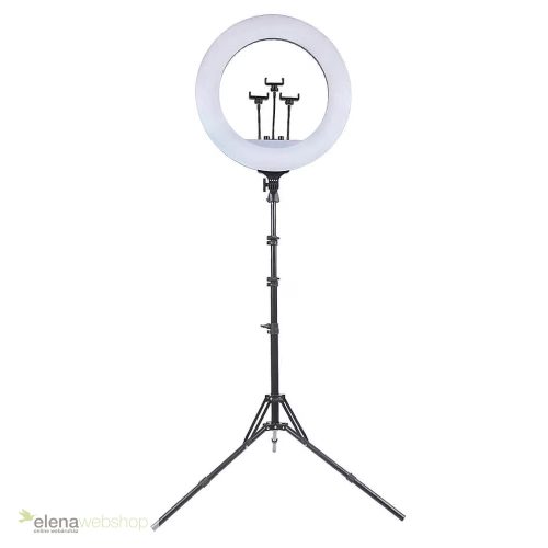 56 cm-es Ringlight Körlámpa bérlés