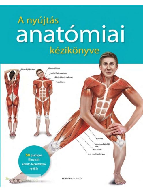Prof. dr. Ken Ashwell - A nyújtás anatómiai kézikönyve