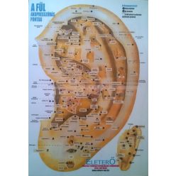 Bánszky Judit: A fül akupresszúrás pontjai - A4