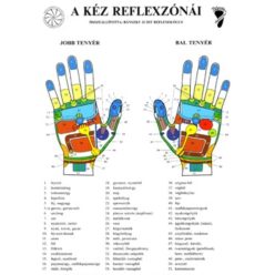 Bánszky Judit: A kéz reflexzónái - Két oldalas A4
