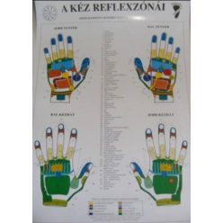 Bánszky Judit: A kéz reflexzónái - A3