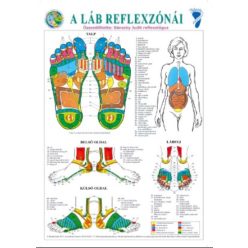 Bánszky Judit: A láb reflexzónái - A3