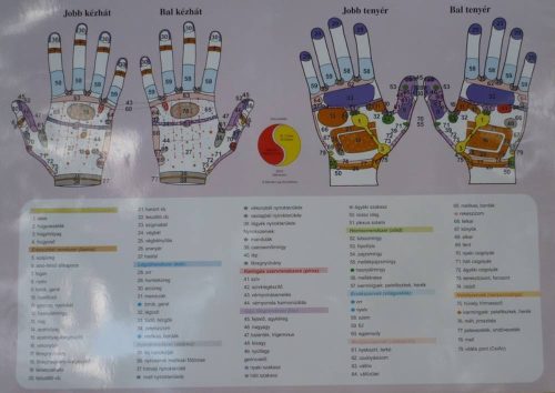 Anna Nagyné Halász: Plakat odręczny A2